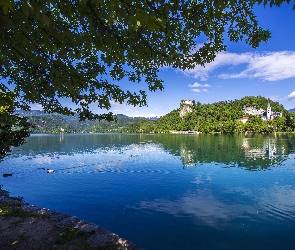 Jezioro Bled, Góry, Słowenia, Kaczki, Wzgórze, Kościół, Zamek Bled Castle, Drzewa