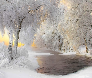 Zima, Region Kainuu, Finlandia, Drzewa, Rzeka, Wschód słońca, Oszronione, Gmina Kuhmo