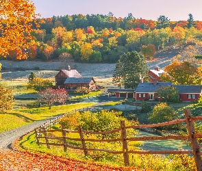 Droga, Dom, Stan Vermont, Drzewa, Jesień, Stany Zjednoczone, Nowa Anglia