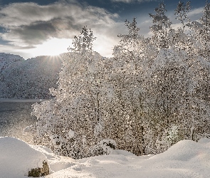 Jezioro, Drzewa, Góry, Zima, Śnieg, Ośnieżone