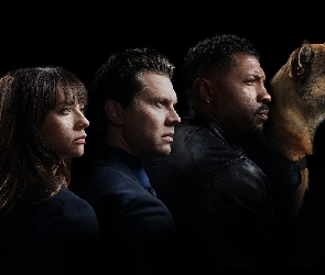 Angie Tribeca, Serial, Owczarek belgijski Malinois, Hayes MacArthur, Deon Cole, Pies, Rashida Jones