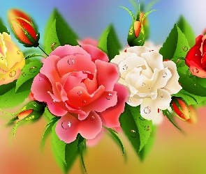 Kwiaty, 2D, Róże