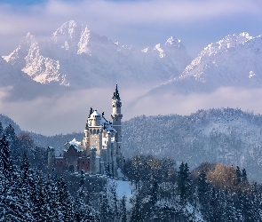 Góry Alpy, Las, Niemcy, Zima, Ośnieżone, Mgła, Bawaria, Drzewa, Zamek Neuschwanstein, Gmina Schwangau, Region Allgäu