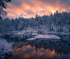 Norwegia, Gmina Ringerike, Śnieg, Zima, Drzewa, Jezioro