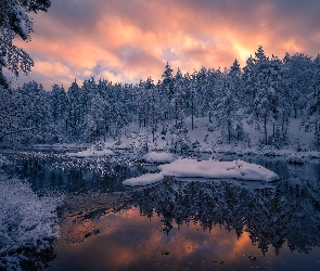 Śnieg, Drzewa, Gmina Ringerike, Norwegia, Jezioro, Zima