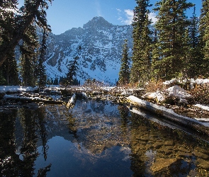 Strumień, Góra Mount Sarrail, Alberta, Drzewa, Góry Canadian Rockies, Kanada, Kananaskis Country