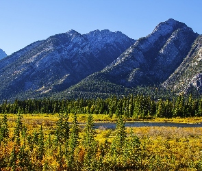 Jesień, Góra Mount Norquay, Kanada, Park Narodowy Banff