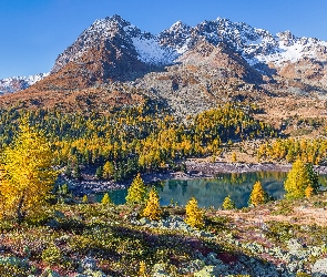 Dolina Val Poschiavo, Gryzonia, Szwajcaria, Kamienie, Drzewa, Jezioro Lago di Val Viola, Jesień, Góry Alpy