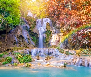 Wodospad Kuang Si Falls, Drzewa, Laos