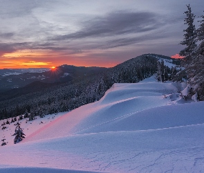 Góra Kukul, Góry Karpaty, Ukraina, Wschód słońca, Drzewa, Lasy, Świt, Zima