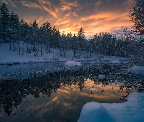 Śnieg, Gmina Ringerike, Norwegia, Drzewa, Jezioro, Zachód słońca, Las, Zima