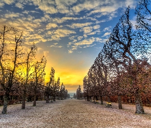 Wschód słońca, Drzewa, Jesień, Park, Ławki, Przycięte