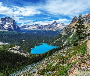 Las, Góry Canadian Rockies, Kolumbia Brytyjska, Chmury, Jezioro O Hara, Kanada, Park Narodowy Yoho