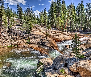 Kamienie, Drzewa, Rzeka Tuolumne River, Skały, Stan Kalifornia, Park Narodowy Yosemite, Stany Zjednoczone