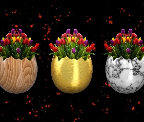 Tulipany, Dekoracja, Kwiaty