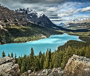 Chmury, Las, Park Narodowy Banff, Skały, Jezioro Peyto Lake, Kanada, Góry Canadian Rockies