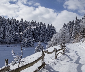 Śnieg, Ogrodzenie, Zima, Drzewa