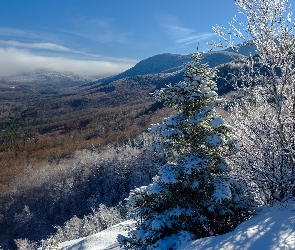 Góry Appalachy, Zima, Stan New Hampshire, Stany Zjednoczone, Niebo, Drzewa, Wzgórza, Śnieg, Góry Białe