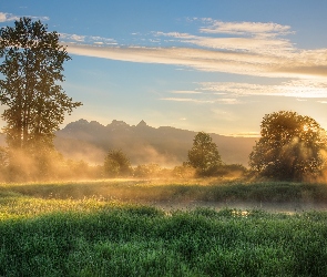 Kolumbia Brytyjska, Drzewa, Kanada, Jerry Sulina Park, Wschód słońca, Maple Ridge, Wzgórza, Mgła