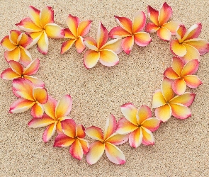 Plaża, Piasek, Serce, Kompozycja, Kwiaty, Plumeria