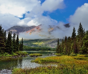 Stan Montana, Stany Zjednoczone, Chmury, Góry, Rzeka, Drzewa, Park Narodowy Glacier