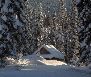 Zima, Śnieg, Domek, Las