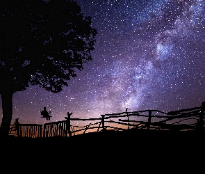 Noc, Gwiazdy, Huśtawka, Drzewo, Płot, Droga Mleczna