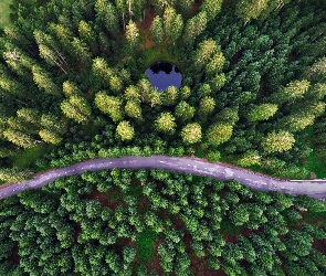 Słowenia, Bohinjska Bela, Staw, Droga, Las, Z Lotu ptaka