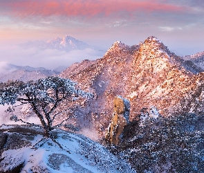 Sosna, Kamienie, Skały, Drzewa, Park Narodowy Bukhansan, Prowincja Gyeonggi-do, Góry, Zima, Korea Południowa, Ośnieżone