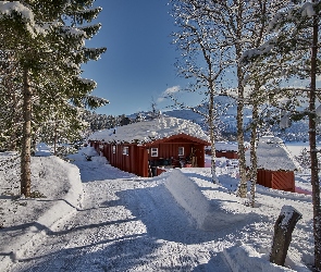 Zima, Region More og Romsdal, Norwegia, Drzewa, Droga, Góry, Dom, Sykkylven