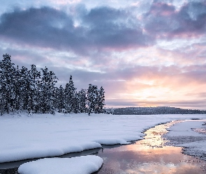 Zima, Jezioro, Śnieg, Zamarznięte, Drzewa