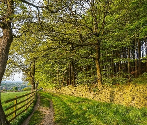 Wieś Denby Dale, Hrabstwo West Yorkshire, Kamienie, Anglia, Płot, Mur, Droga, Drzewa, Las