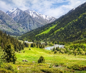 Chmury, Las, Góry Ałatau Dżungarski, Kazachstan, Wąwóz, Rzeka