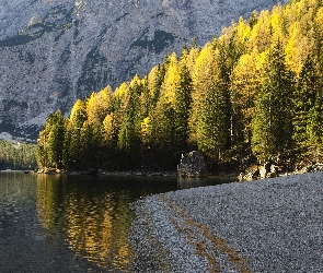 Brzeg, Góry, Drzewa, Las, Jezioro