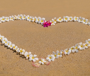 Serce, Piasek, Plumeria, Kwiaty, Miłosne