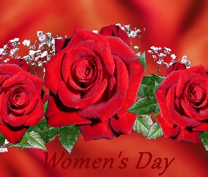 Dzień Kobiet, Róże, Czerwone, Kwiaty