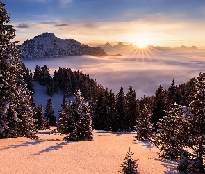 Zima, Promienie słońca, Mgła, Drzewa, Góry, Wschód słońca