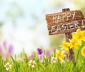 Napis, Krokusy, Wielkanoc, Kwiaty, Gerbery, Happy Easter, Motyl, Żonkile