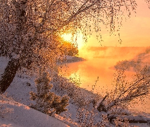 Wschód słońca, Zima, Drzewa, Rzeka, Oszronione, Mgła