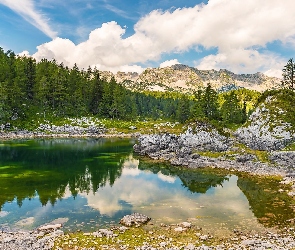 Triglavski Park Narodowy, Słowenia, Chmury, Jezioro, Drzewa, Góry