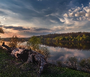 Rzeka, Pień, Suchy, Drzewa, Zachód słońca