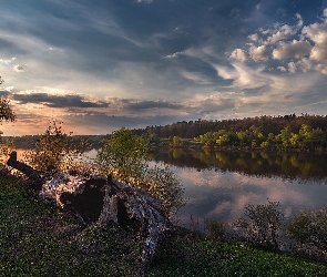 Zachód słońca, Pień, Drzewa, Suchy, Rzeka