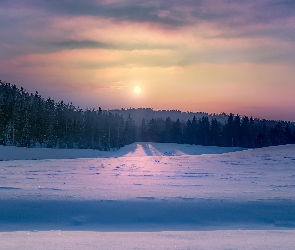 Drzewa, Zachód słońca, Śnieg, Las, Zima