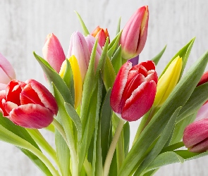 Kolorowe, Tulipany, Kwiaty, Bukiet