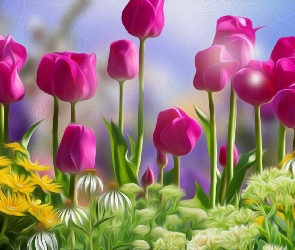 Grafika, Tulipany, Kwiaty, Różowe