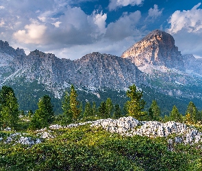 Włochy, Dolomity, Skały, Szczyt Piz Boe, Drzewa, Góry Sella