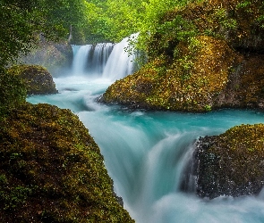 Skały, Stany Zjednoczone, Wodospad Spirit Falls, Roślinność, Stan Waszyngton, Rzeka Salmon River, Hrabstwo Skamania