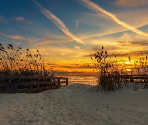 Plaża, Morze, Zachód słońca, Rośliny, Trawy, Ogrodzenie, Śnieg