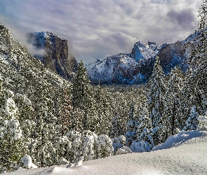 Park Narodowy Yosemite, Zima, Dolina Yosemite Valley, Stany Zjednoczone, Drzewa, Stan Kalifornia, Świerki, Góry