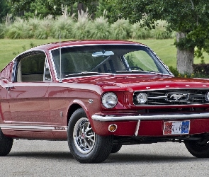 Zabytkowy, 1966, Czerwony, Ford Mustang